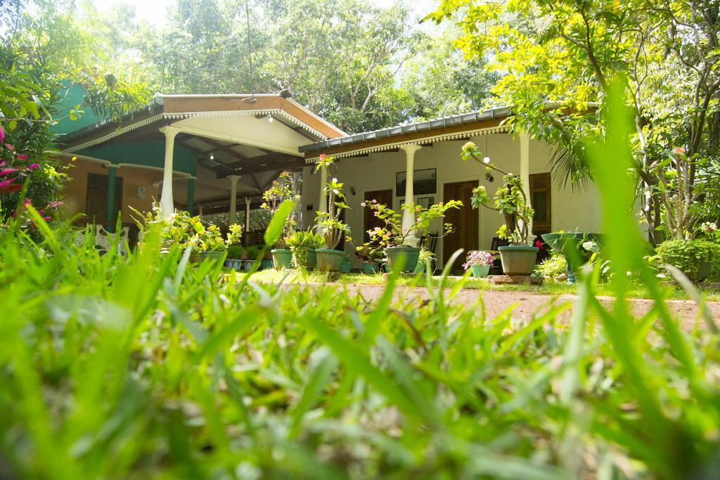 Sigiri Lodge Sigiriya Eksteriør billede